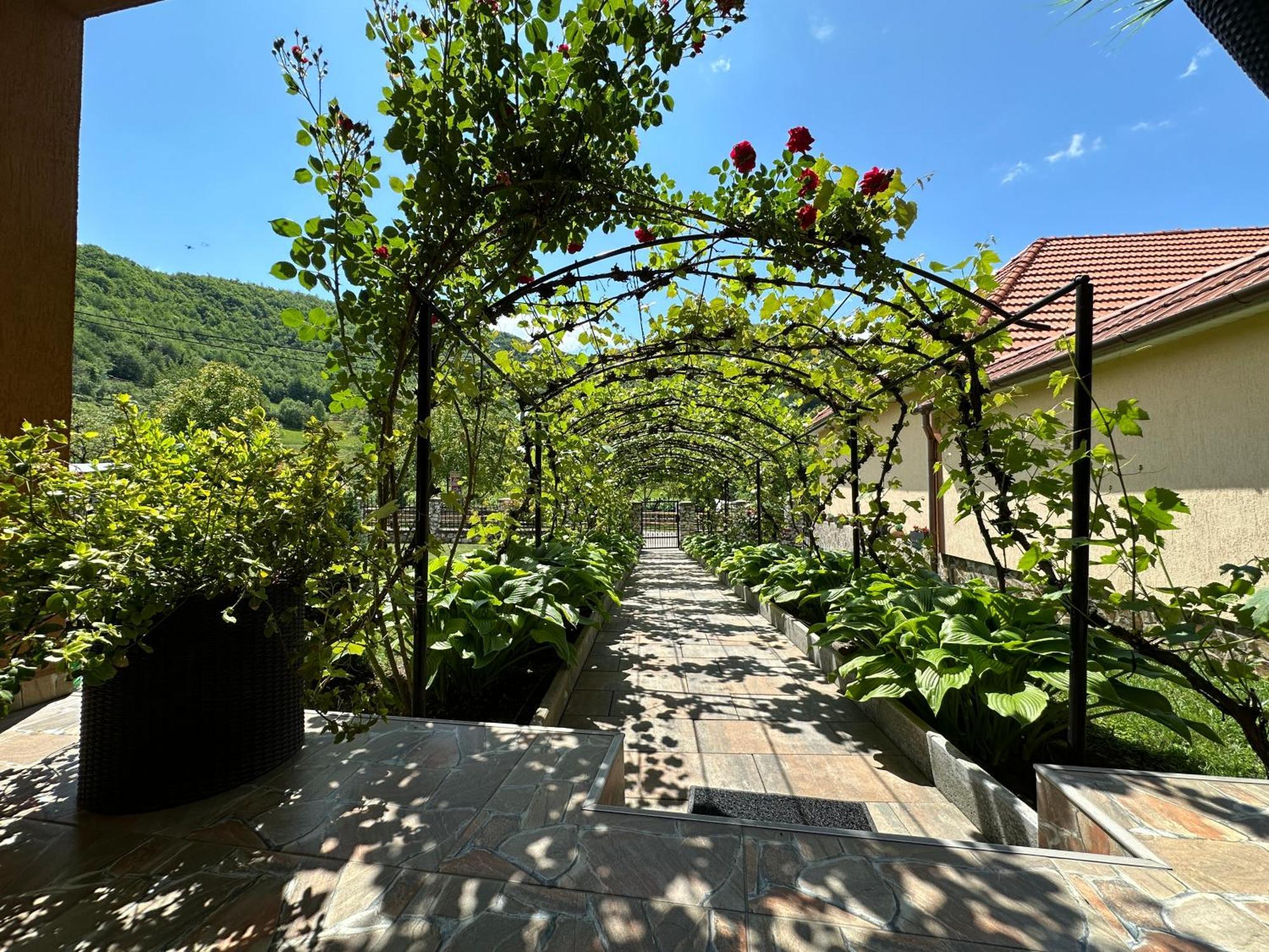 Hotel Casa Antonia Chiscau Esterno foto